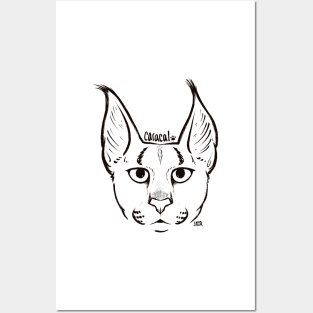 Ink Caracal Posters and Art